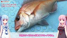 秋の房総でマダイを狙ってテンヤ釣りを楽しんできた！ 超高級魚マハタの鍋も加わった彩り豊かな食卓へ「贅沢だ」「うまそう」の声