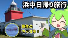 「野生のラッコ」を見に行こう！ 濃厚アイスクリームやきりたっぷ岬まつり、湯沸岬灯台の見学など浜中町の魅力に触れる日帰り旅行