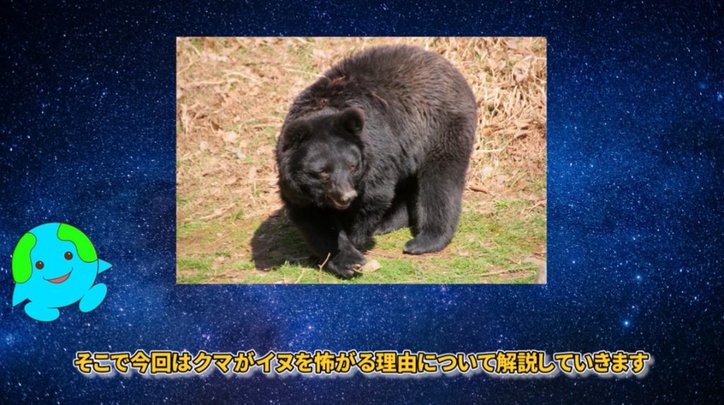 なぜクマはイヌを恐れるのか？ それは先史時代からDNAに刻まれた積み重ねによるものだった！