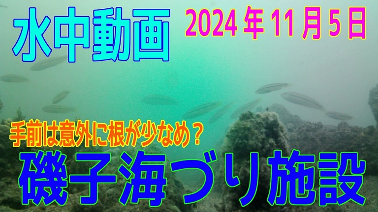 横浜市の「磯子海づり施設」で水中映像を撮ってきた！ 根掛かりが怖いエリアでの“意外な海の中の景色”をご紹介