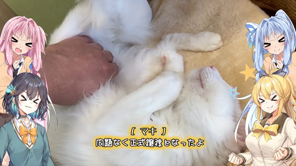 保護猫カフェに行ってみた！ おやつを取り合い、おもちゃを追いかけて走り回る元気な姿に癒される