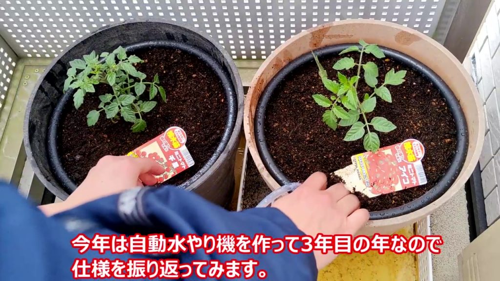 『心に水やり』 niconiconews_nw18516999_0.jpg