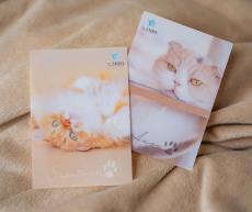 実際の猫の「肉球サイン」入りレアカードも封入！ 東京都・町田の猫
