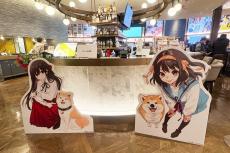 渋谷のTSUTAYAで開催中の「ライトノベル展2025」へ行ってみた！ 見て