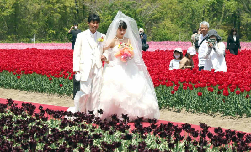 チューリップ畑の中心で永遠の愛を誓う♡新潟胎内市「チューリップフェスティバル」で4月29日に結婚式、カップル2組を募集