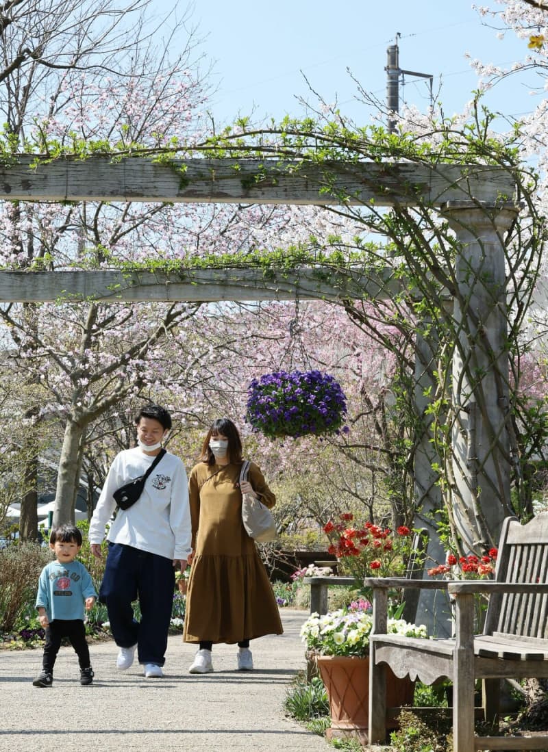 庭園を彩る春の草花がスタンバイ♪新潟見附市「みつけイングリッシュガーデン」4月1日開園