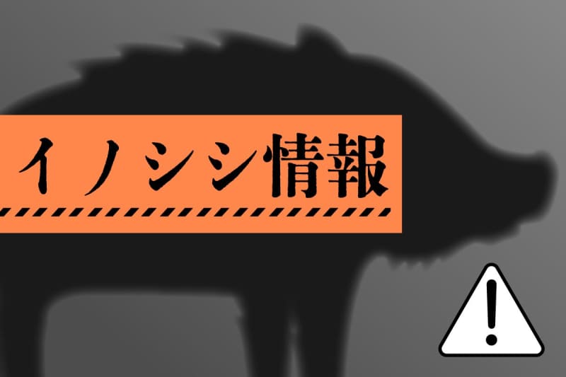 ［イノシシ目撃情報・新潟］新潟市秋葉区（8月28日）