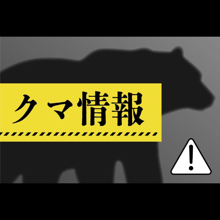 ［クマ目撃情報・新潟］上越市の体育館近くの県道（9月7日）