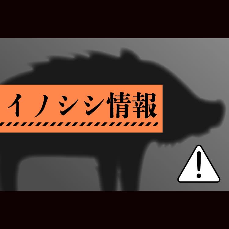 ［イノシシ目撃情報・新潟］新発田市（9月16日）