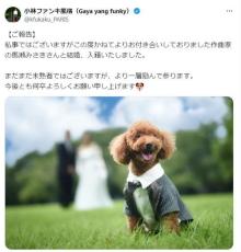 恋愛恐怖症男４人組バンドギタリストが「天気の子」「プリキュア」劇中歌作曲家と結婚発表