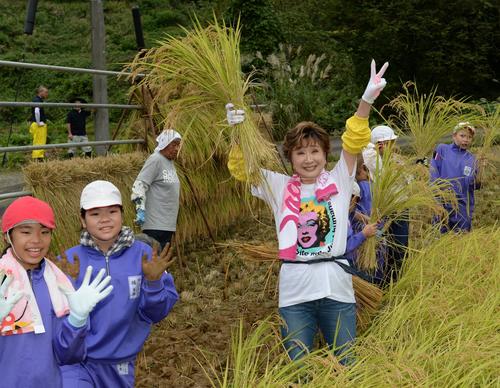 小林幸子“小林幸子田”で恒例の稲刈り、04年中越地震から20年「鉄のように固い思い貫いて」