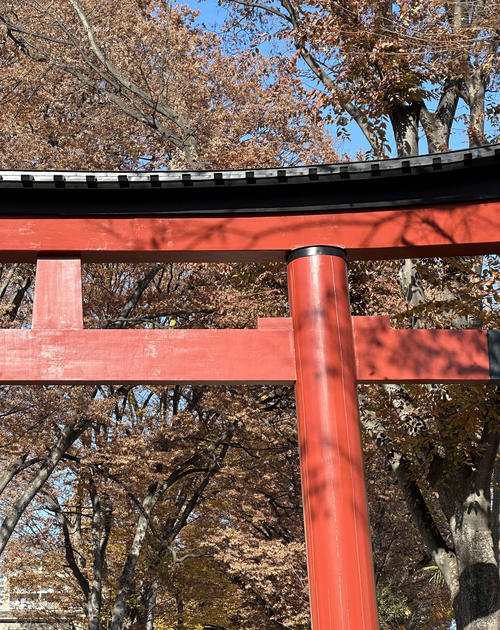 神社の鳥居で懸垂女性はチリ人インフルエンサー姉妹、謝罪動画を公開も国内外から批判殺到で炎上