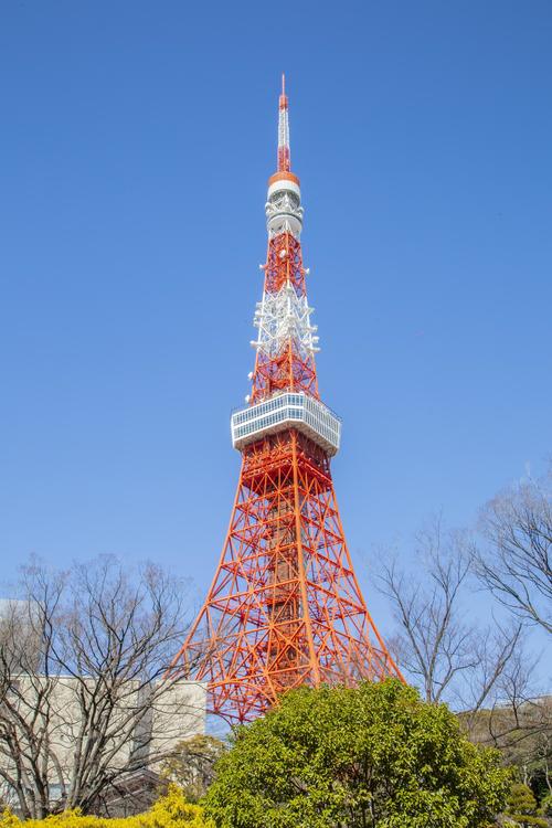 東京タワー、令和流おもてなし　ベーブ・ルースも訪れた「紅葉館」モチーフにした新ツアー人気