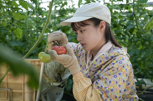 【５日のおむすび】ステージ衣装をタンスにしまう結、一方歩はハギャレンから結の様子を聞く