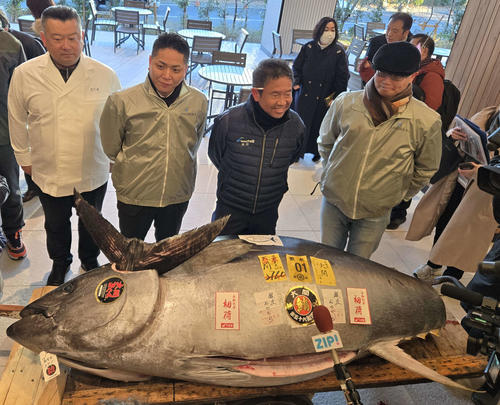 一番マグロ競り落とした「おのでら」グループの回転鮨店で「赤身とトロ１貫ずつのセット」提供