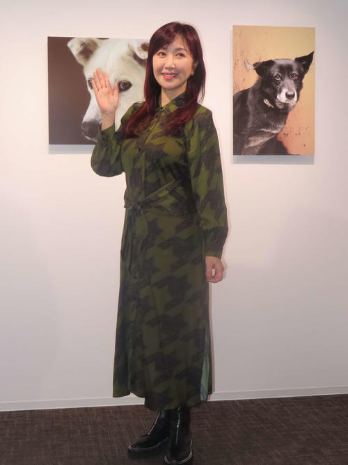 伍代夏子、保護犬や愛犬を撮影した写真展を開催　見所は「わんちゃんの目」夫、杉良太郎も大賛成　