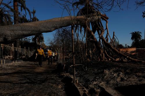 グラミー賞は予定通り２・２開催へ、ロス山火事で延期可能性浮上も　チャリティー要素含む内容に