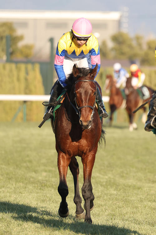 日刊スポーツ賞シンザン記念】2着サウンドムーブ 団野騎手「先々が