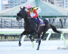 ケンタッキーダービーにも挑戦した国内外重賞４勝馬が引退　韓国で種牡馬入りへ