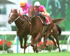 テイエムオペラオー　00年　京都大賞典　現地的中単勝馬券 毎日ベスト3】京都大賞典を2勝した印象的な馬ベスト3｜Infoseekニュース