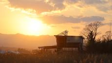 人の息吹が見えるようになった福島・双葉町　「未来のある町」になるためには　～東日本大震災・福島第一原発事故から11年