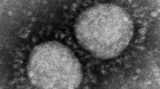 感染者数は「来週、遅くても来月に再上昇する」　ウイルス学者が考える“今後”の新型コロナ