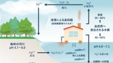 アマゾン地域で水銀による健康被害　「政治が発端に。水俣病経験の日本には危険伝える責務」辛坊治郎が指摘