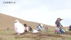 美しい砂の景色を市民で守る　鳥取砂丘で80人が参加し除草ボランティア　鳥取市