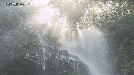 「入っただけでめっちゃ寒かった」 天然のクーラーで暑さ対策　44メートルの高さから流れ落ちる滝の強い水しぶきで涼を感じる　鳥取県湯梨浜町