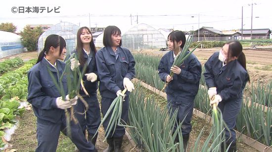 「頑張って作った野菜なのでおいしく食べてください」　湖陵フェスタで販売のため高校生が自分たちで育てた野菜を収穫　鳥取県鳥取市