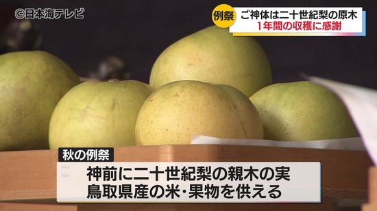 木乃実神社で1年間の収穫に感謝する祭り　二十世紀梨の親木の実や米を献上し祝詞を奏上　鳥取県鳥取市　