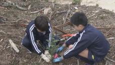 小学生がスギの植林体験　小学校での出前授業で子どもたちに森林の役割を伝える　鳥取県鳥取市