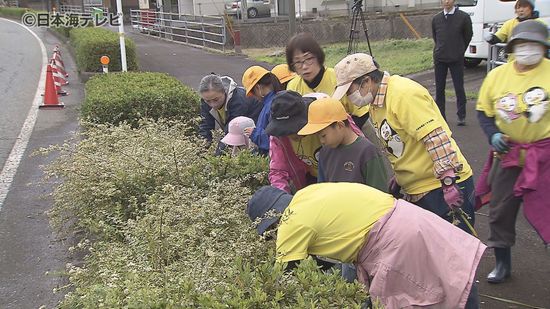 ふるさとに思い出を…　国道29号沿いの地域住民と小学生が植栽活動　景観を守り地域の活性化へ　鳥取県八頭町