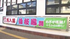 2023年7月場所以来の幕内復帰・伯桜鵬関　地元の鳥取県倉吉市に横断幕