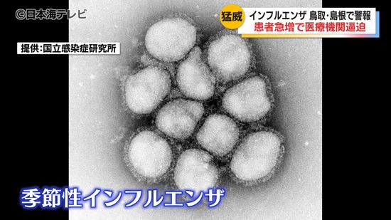 「朝のうちに一日の検査の枠が埋まってしまう」　山陰でも感染者が急増のインフルエンザ　検査キットや薬が不足になる可能性も…