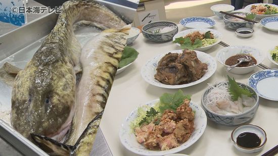 見た目のインパクトは抜群！深海魚「ばばちゃん」を使った料理教室　鍋や唐揚げ刺身などのフルコースを調理　鳥取県岩美町