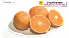 みかんです₊⁎⁺˳✧༚ ゑびすみかん」をPR 小学生がオリジナルラベルの袋づめみかんを販売