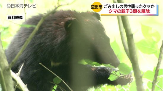 胃の内容物には柿が 12月初旬に70代男性を襲った可能性が高いクマの