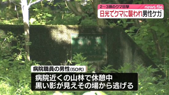 クマに襲われ男性ケガ、2～3頭「目撃」　栃木・日光市