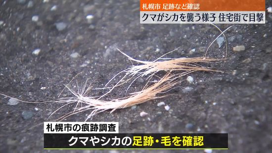 住宅街で「クマがシカに覆いかぶさって…」住民が通報　足跡など確認　札幌市