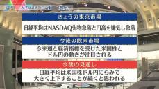 株価見通しは？　三浦豊氏が解説