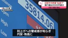 日経平均“乱高下”振れ幅は2000円超え　「日銀副総裁発言だけで株安歯止め難しい」との見方も