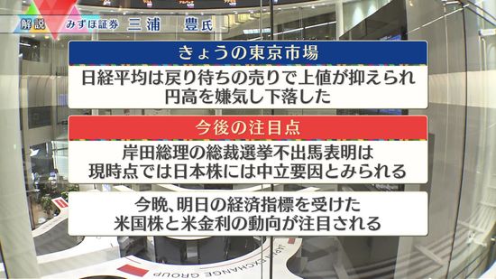 株価見通しは？　三浦豊氏が解説