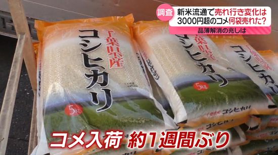 品薄でコメの買い方に“変化”　農家「直売」サイトが好調…売り上げ12倍も