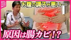 猛暑で「腸」にダメージ……“カビ”から体調不良、“砂漠化”進めば大腸がんも？　医師が勧める食事のコツ『every.特集』