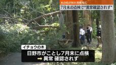 木の枝が折れ男性死亡　7月末の点検で“異常確認されず”　国交相「大変重たい事態」