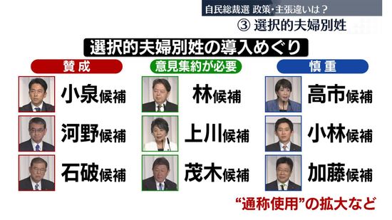 自民党総裁選　候補者共同会見へ　政策・主張の違いは