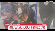 【速報】逃げ出したドーベルマンなど大型犬3頭が戻る　千葉・四街道市