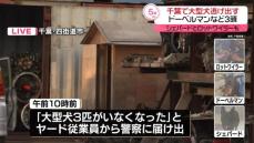 ドーベルマンなど大型犬3頭逃げ出す　警察が捜索　千葉・四街道市【中継】