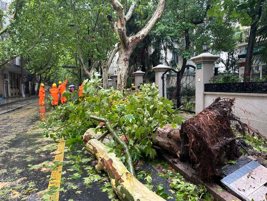 台風13号が中国・上海に上陸　航空便の運航などに影響